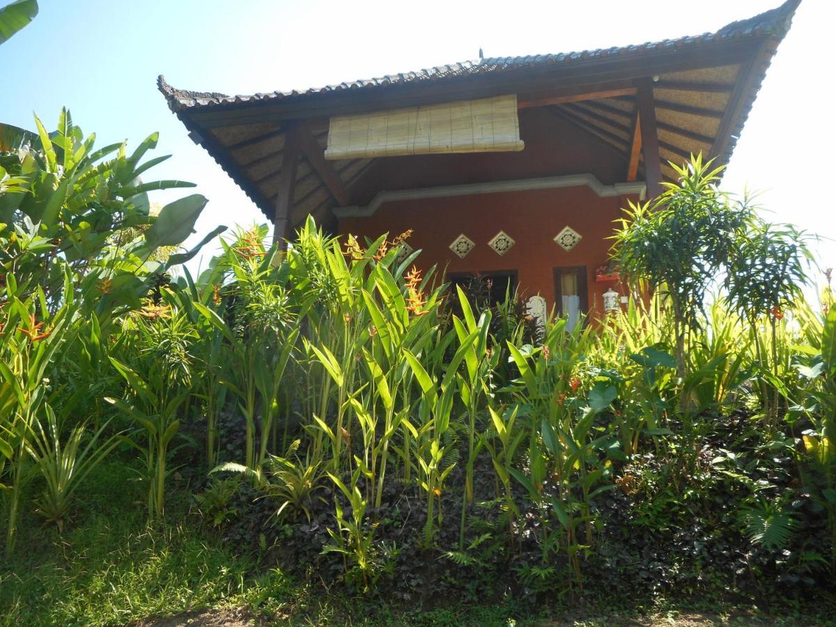 Cegeng Lestari Guesthouse Сидемен Экстерьер фото