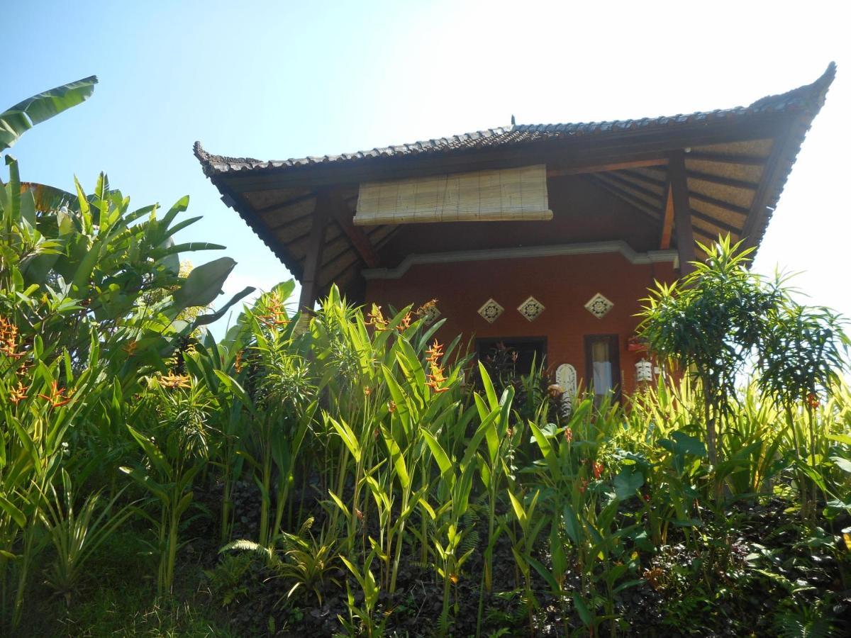 Cegeng Lestari Guesthouse Сидемен Экстерьер фото